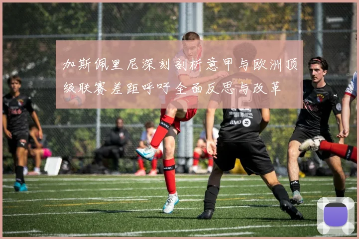 加斯佩里尼深刻剖析意甲与欧洲顶级联赛差距呼吁全面反思与改革